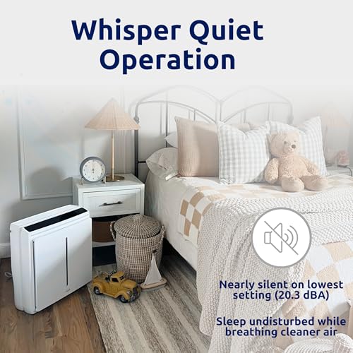 Rabbit Air, A3 SPA-1000N Air Purifiers for Home, Ultra Quiet HEPA Air Purifier - Wall Mountable Air Purifiers for Home Large Room, Allergies, Dust, Mold, Smoke & VOCs - (Black, Odor Remover Filter)