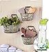 Gift Included- Set of 3 Rustic Country Living Wall Buckets Home Decor Accents + FREE Bonus 23 oz Water Bottle byHomecricket