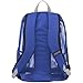 JanSport Specter Backpack
