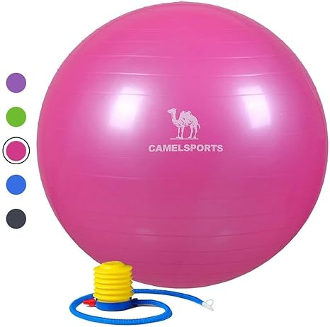 Camel Gym Ball Gym Grado Profesional Anti Burst Ball Balance ...