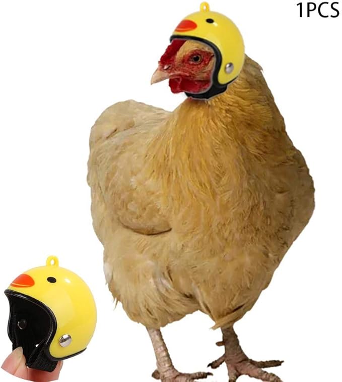 Amazon Com Pet Helmets Chicken Helmets Bird Hat Headwear Bird Hat Headgear Chicken Helmet Funny Pet Helmet Costumes Accessories For Chicken Small Pet Hard Hat Suitable For Chickens Ducks And Other Poultry