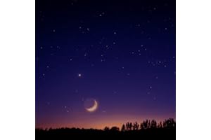 Night Ambience Sounds