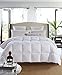 ROSECOSE Luxurious Lightweight Goose Down Comforter Queen Size Duvet Insert Solid White 1200 Thread Count 750+ Fill Power 100% Cotton Shell Hypo-allergenic Down Proof with Tabs (Queen,White)