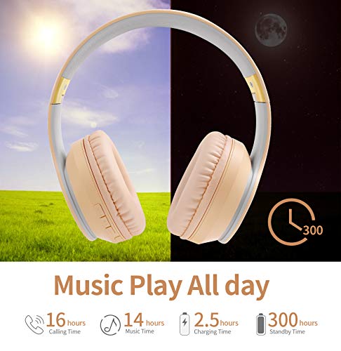 Lobkin Over The Ear Wireless Headphone with Microphone, Hi-Fi Stereo Noice Reduce Earphones for Class, Home Office, Game/TV/PC/Phone Comfortable Foldable Bluetooth Headphones