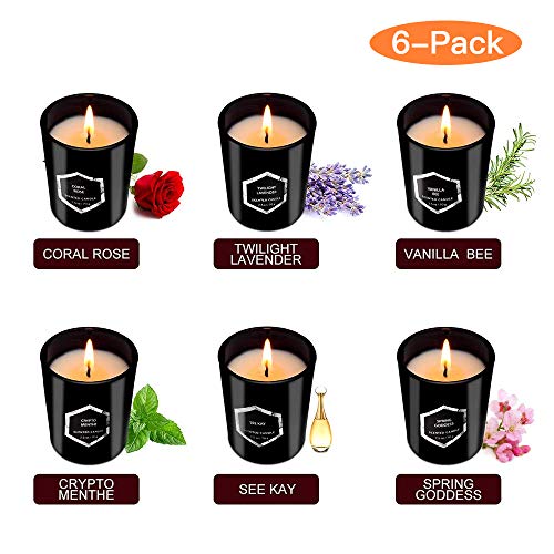 YINUO LIGHT Red Flame Luxury Scented Candles, 6 Pack Black Glass Soy Wax Candle Gift Set for Women Birthday, Anniversary, Valentine's Day