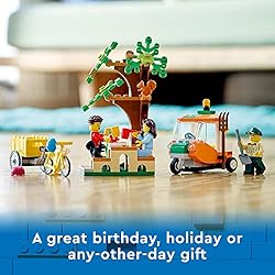 LEGO City Picnic in The Park 60326 Building Kit for