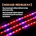 ZCPlus LED Strip Light Plant Grow Lights 16.4ft 5050 SMD Waterproof Full Spectrum Red Blue 4:1 Growing Lamp for Aquarium Greenhouse Hydroponic Plant Garden Flowers (5 M)