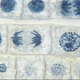 Onion Mitosis Slide, l.s., 10 m, Hematoxylin