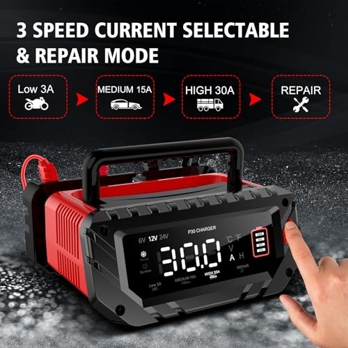 YHCHKJ 30 Amp 6V/12V/24V Smart Trickle Charger, Car Battery Charger, Lithium, Lifepo4, Lead Acid (AGM/Gel/SLA) Battery Maintainer, Desulfurizer for Car, Boat, Motorcycle, Lawn Mowers