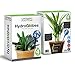 GARDENING SOLUTIONS Hydro Globes Automatic Watering Bulbs (4)