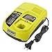 Energup P117 Dual Chemistry IntelliPort Battery Charger Li-ion Ni-cad Ni-Mh Charger 12V 18V MAX for Battery P100 P102 P103 P105 P107 P108 P200 1400670 Ryobi One+ Plus Battery