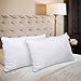 HOMEIDEAS Queen Bed Pillows for Sleeping Set of 2 - Luxury Down Alternative Pillows, Premium Plush Fiber - Good for Side and Back Sleeper