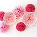 HAZOULEN Tissue Paper Pom Poms for Party Decorations, 10