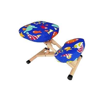 Amazon Com Stool Correction Chair Office Professional