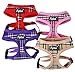 PUPTECK Soft Mesh Dog Harness and Leash Set Pet Puppy Cat Comfort Padded Vest No Pull Harnesses, Deep Red, M