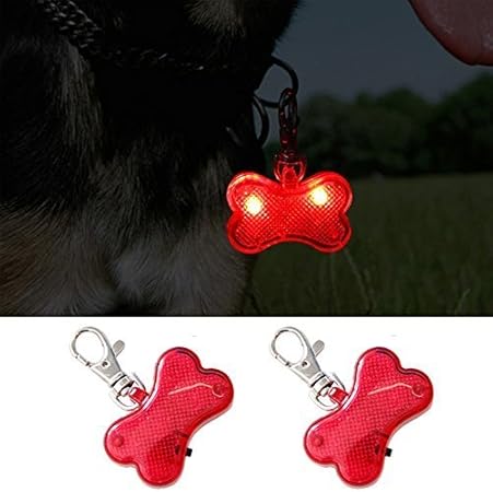 led dog tag