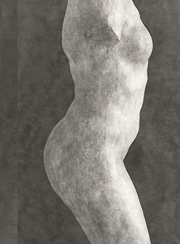 [BOOK] Rodin: Photographs by Emmanuel Berry<br />W.O.R.D