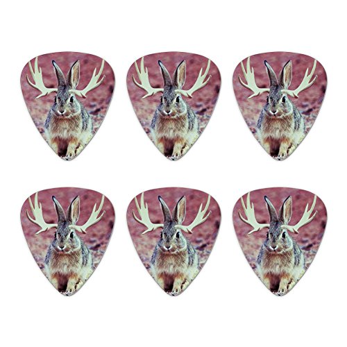 Jackalope Realistic Novelty Guitar Picks Medium Gauge - Set of 6