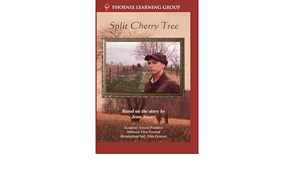 Amazon Com Split Cherry Tree Movies Tv