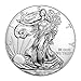 USA 2019 $1 American Silver Eagle Coin .999 Fine 1 Troy Ounce - Brilliant Uncirculated Bullion