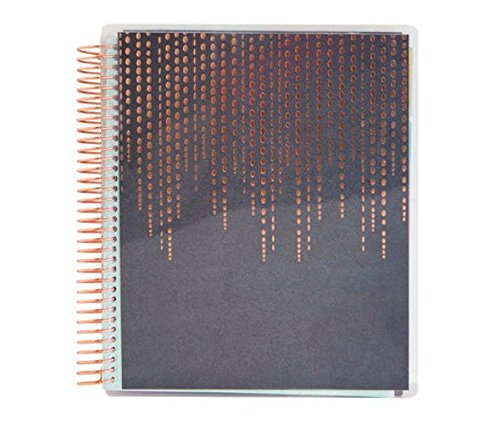 Recollections 18 Month Spiral Planner Bundled with 1 Recollections Planner Sticker Sheet and One Recollections Washi Box, 2017-2018 Planner, Rosegold