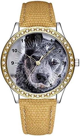 Diamond Womens Leather Watch,Fashion Casual Gold Watches for Women,Waterproof Ladies Brown Wrist Watch 075.Australian Cattle During Snow(Brown)