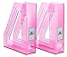Acrimet Magazine File Holder, Durable Rack, Space-Saving Organizer (Plastic) (Clear Pink Color) (2 pack)