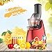 Elechomes Slow Masticating Juicer Extractor Cold Press Juicer Machine for High Nutrient Fruit and Vegetable Juicer with Wide Chute Anti-Oxidation Lower Noisy ,CJ201