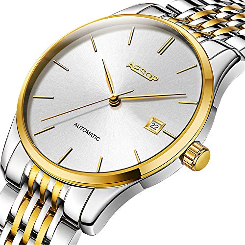 Aesop Fashion Men Date Analog Automatic Self Winding Mechanical
