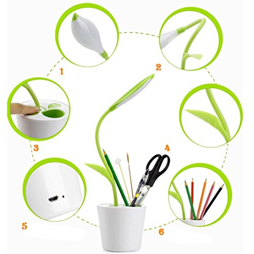 fingerlings play set