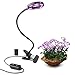 GROWSTAR Led Grow Light 10W Plant Light Desk Grow Light with 360° Adjustable Gooseneck for Office/Home/Indoor Plants and House Flowers