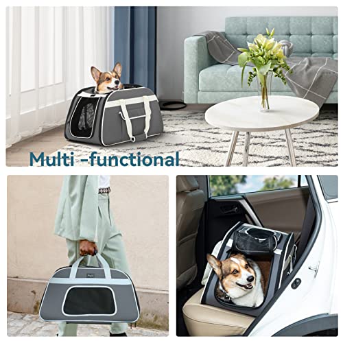 Petsfit Pet Carrier with Removable Wheels Pricepulse