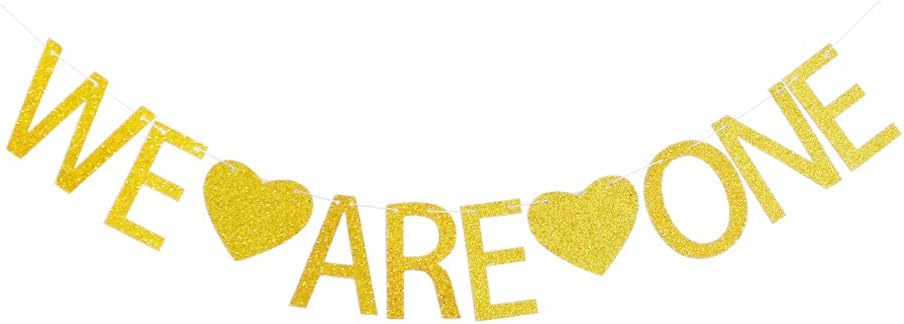 We are One Banner for Twins' First Birthday Party Decors, Twins' 1st Birthday Party Sign Supplies