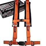 4 Point Harness with 2 Inch Padding