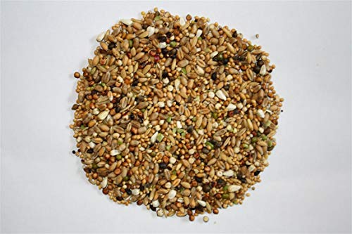 Mischung für Turteltauben, 20 kg – Bild 3