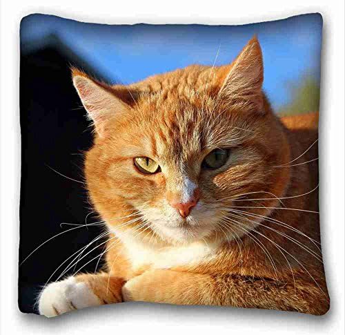 Generic Personalized Animal Pillowcase Cushion Cover Design Standard Size 16x16 inches One Sides suitable for X-Long Twin-bed