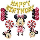 Minnie Mouse Birthday Party Supplies and Red Polka Dot 18 pc Balloon Decorations