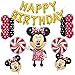 Minnie Mouse Birthday Party Supplies and Red Polka Dot 18 pc Balloon Decorations