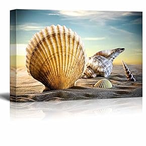 Canvas Prints Wall Art - A Variety of Seashells on a Sandy Beach Under a Clear Sky | Modern Wall Decor/Home Decoration Stretched Gallery Canvas Wrap Giclee Print. Ready to Hang - 12" x 18"