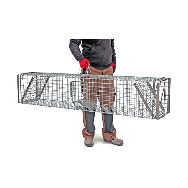 Holtaz Hardy Super Starke Falle Marderfalle Katzenfalle Fuchsfalle Biberfalle Tierfalle Kastenfalle Drahtfalle WaschbÃ¤rfalle 2 TÃ¼ren, GrÃ¶Ãe: 180x34x34 cm Mit Extra KÃ¶der – Bild 4