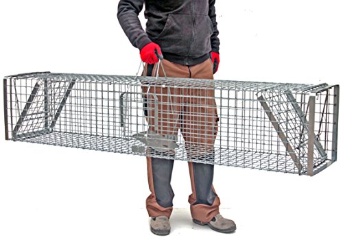 Holtaz Hardy Super Starke Falle Marderfalle Katzenfalle Fuchsfalle Biberfalle Tierfalle Kastenfalle Drahtfalle Waschbärfalle 2 Türen, GröÃe: 180x34x34 cm Mit Extra Köder – Bild 4