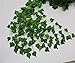 Muyisen 12 Pack Artificial Greenery Ivy Vine Leaves Garland for Wedding Party Garden Wall Party Decoration