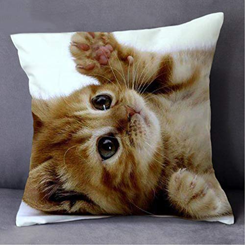 Sublimation Heat Transfer Paper Size A3 Plus - 19 x 13 Inches (100 Sheets/Pack)