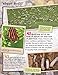 100 Facts - Bugs: Leap, Scuttle and Fly into the Creepy-crawly World of Insects and Bugs