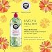 Good Virtues Co. Christmas Gift Set Black Seed Oil Shampoo & Hair Conditioner (23.7 oz & 10.1 oz) -Best Moisturizing -Used for Dry, Damaged, Colored, Itchy Scalp, Dandruff, For All Hair Types