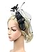 Urban CoCo Women's Vintage Flower Feather Mesh Net Fascinator Hair Clip Hat Party Wedding (Series 5-Black)