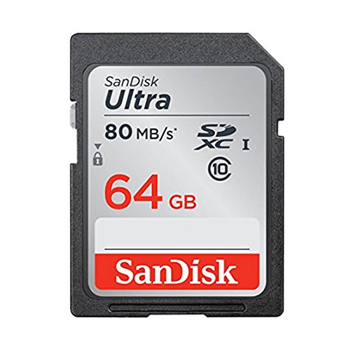 SanDisk Ultra SD Memory Card – For Canon EOS Rebel SL3 SL2 SL1, Class 10, Multiple Sizes