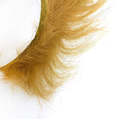 image for MIBOW Lion Costume Accessory Kit,Lion Ears and Tail Set - Lion Cosplay