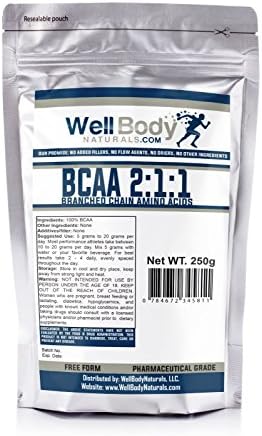 WellBodyNaturals Pure BCAA 2:1:1 (Branch Chain Amino Acids) Instantized Powder (250 grams)