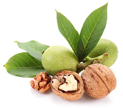 Walnut Oil Cold Pressed Unrefined Raw Non GMO 100% Natural 8.45 fl oz / 250 ml
